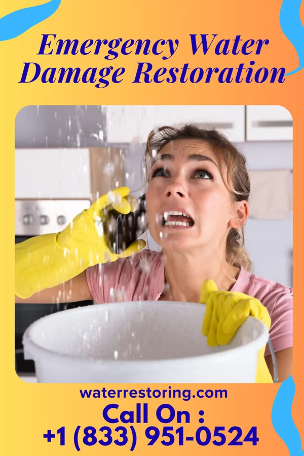 Emergency Water Damage Restoration in Middleville, MI
