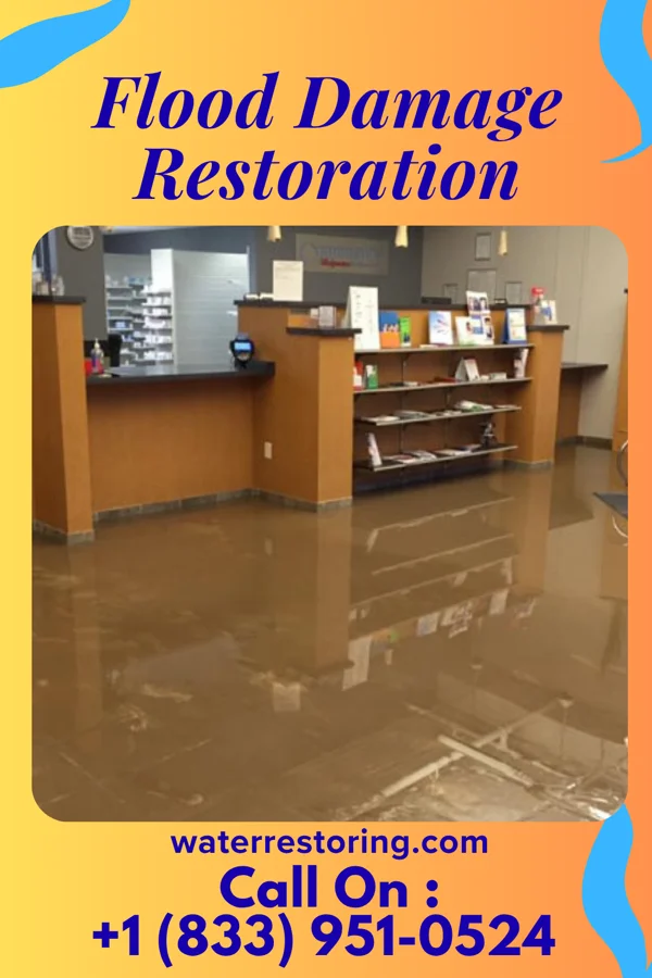 Flood Damage Restoration in Middleville, MI