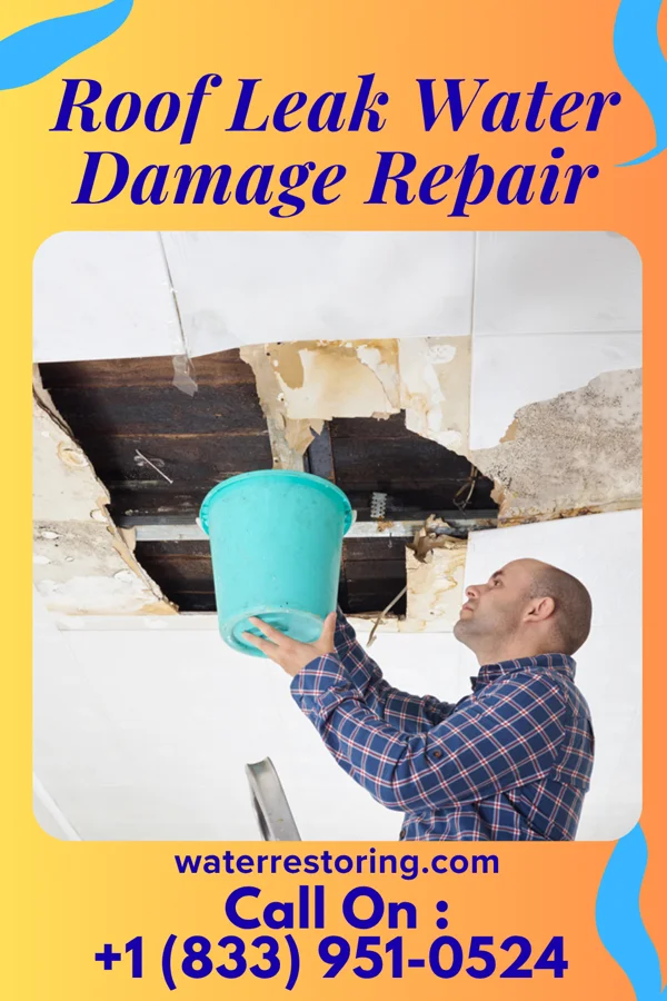 Roof Leak Water Damage Repair in Middleville, MI