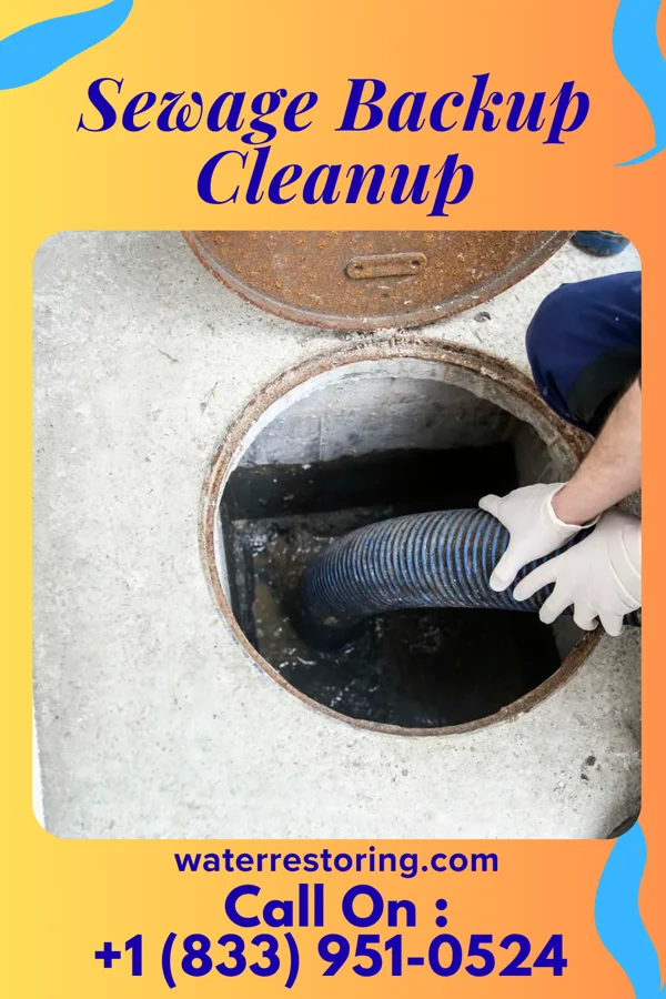 Sewage Backup Cleanup in Middleville, MI