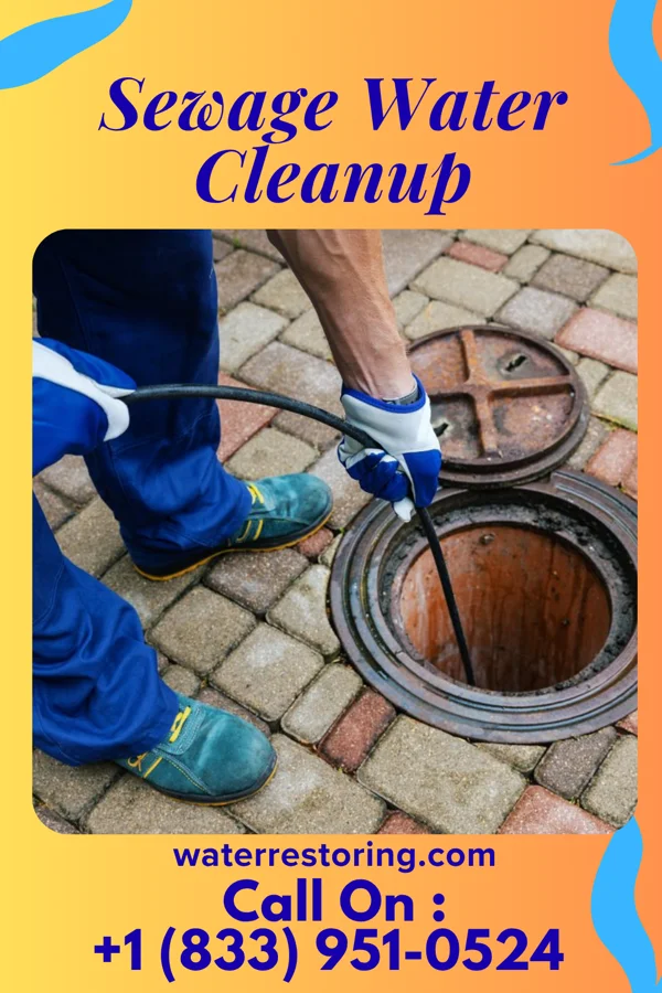 Sewage Water Cleanup in Middleville, MI